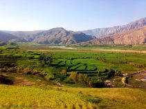 طبیعت سرسبز دشت سوسن ایذه و رود کارون